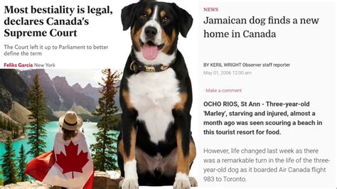 is bestiality legal in canada|Claims about bestiality being legal in Canada are。